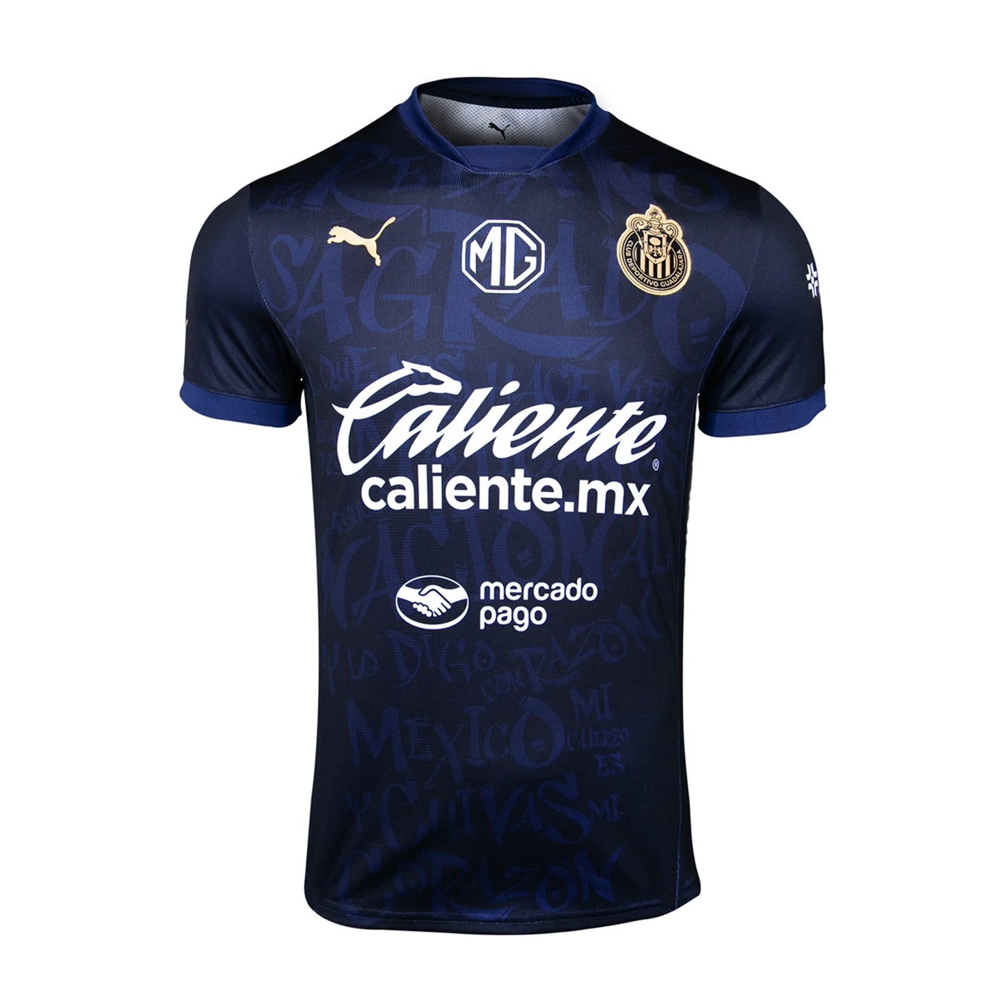 Puma Replica Chivas Third Jersey 24/25