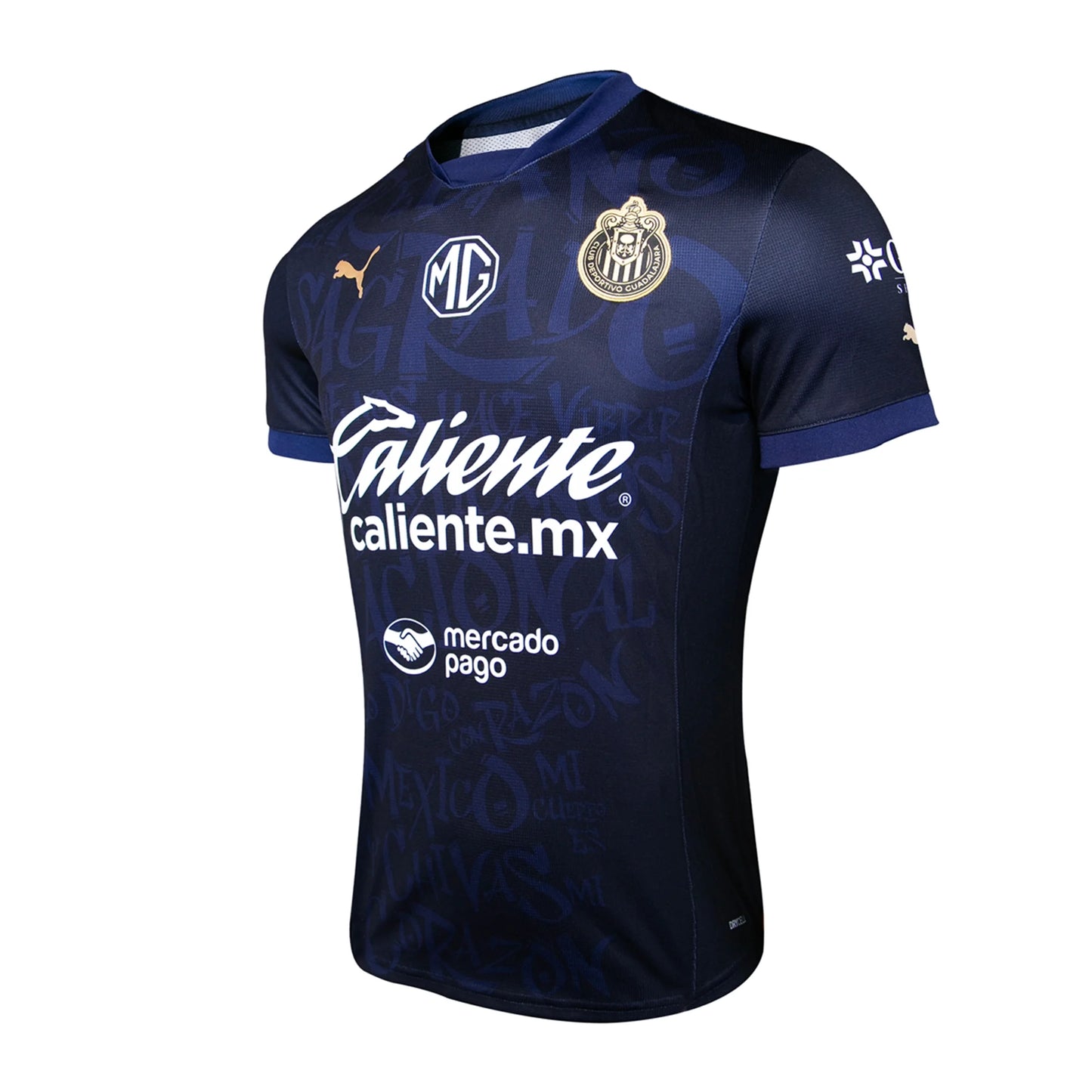 Puma Replica Chivas Third Jersey 24/25