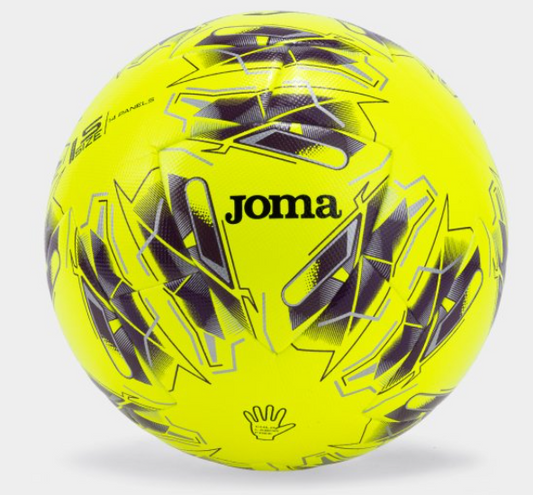 Soccer Ball - Joma Evolution V Ball